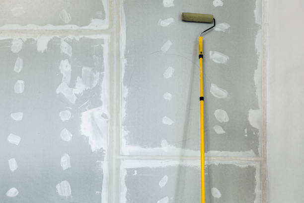 Babson Park, FL Mold Removal Company