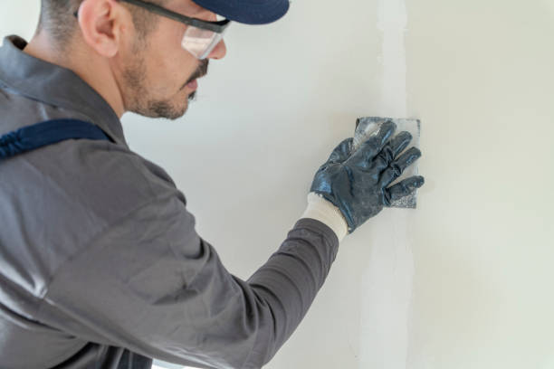 Best Mold Odor Removal Services  in Babson Park, FL