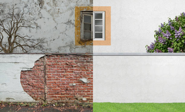 Best Attic Mold Removal  in Babson Park, FL